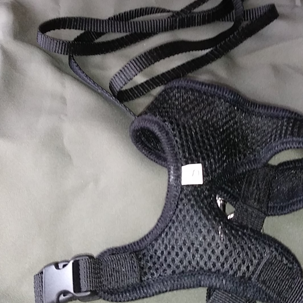 Dog harness and leash